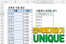 UNIQUE 함수 사용법